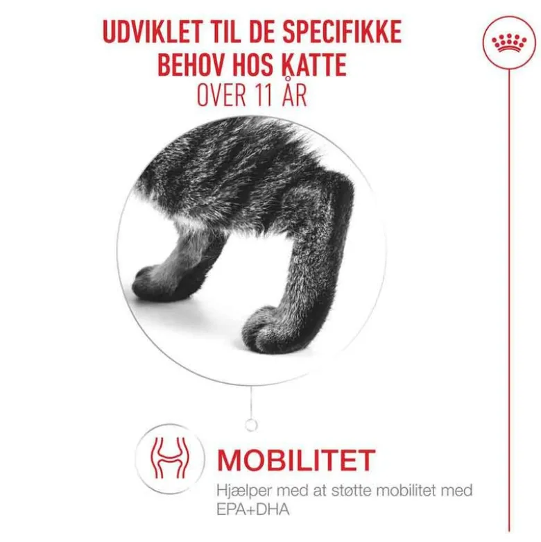 Royal Canin Ageing 11+ i gelé