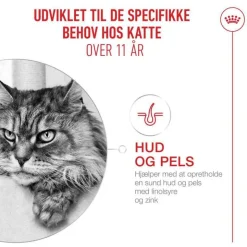 Royal Canin Ageing 11+ i gelé