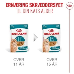 Royal Canin Ageing 11+ i sauce