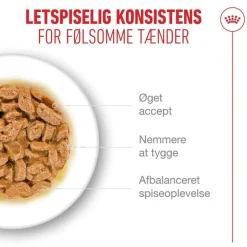 Royal Canin Ageing 11+ i sauce