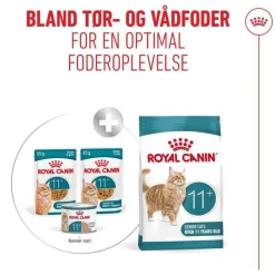 Royal Canin Ageing 11+ i sauce