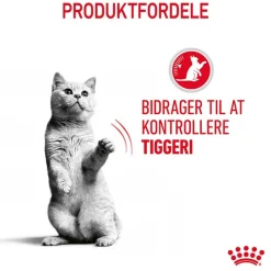Royal Canin Appetite Control Care i gelé