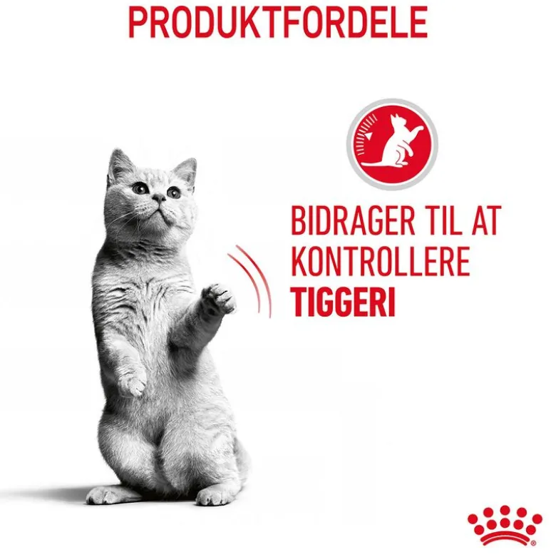 Royal Canin Appetite Control Care i gelé
