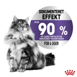 Royal Canin Appetite Control Care