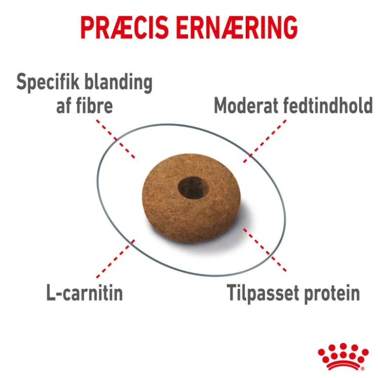 Royal Canin Appetite Control Care