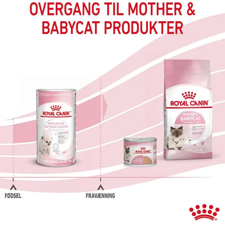 Royal Canin Babycat Milk