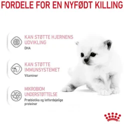 Royal Canin Babycat Milk