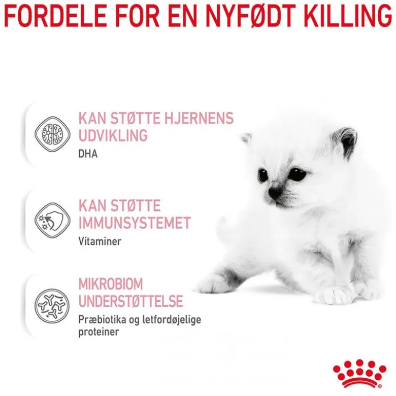 Royal Canin Babycat Milk