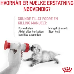 Royal Canin Babycat Milk