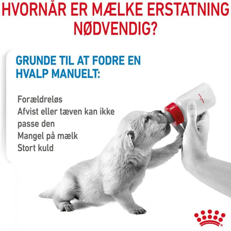Royal Canin Babydog Milk