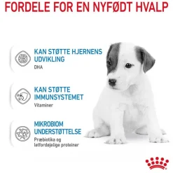 Royal Canin Babydog Milk