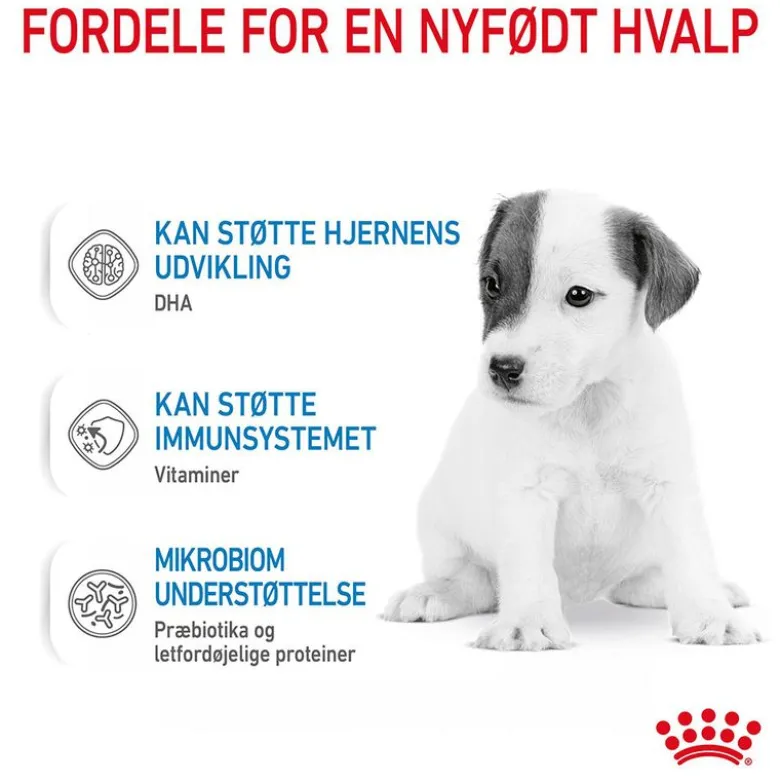 Royal Canin Babydog Milk