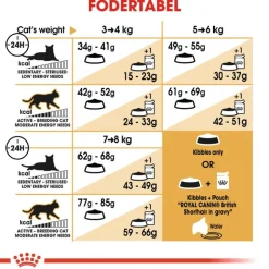 Royal Canin British Shorthair Adult