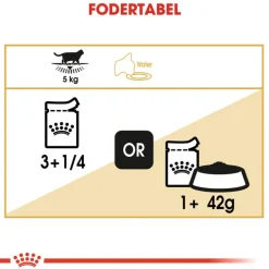 Royal Canin British Shorthair Adult i sauce