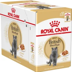 Royal Canin British Shorthair Adult i sauce