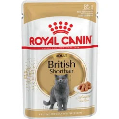 Royal Canin British Shorthair Adult i sauce