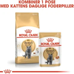 Royal Canin British Shorthair Adult i sauce