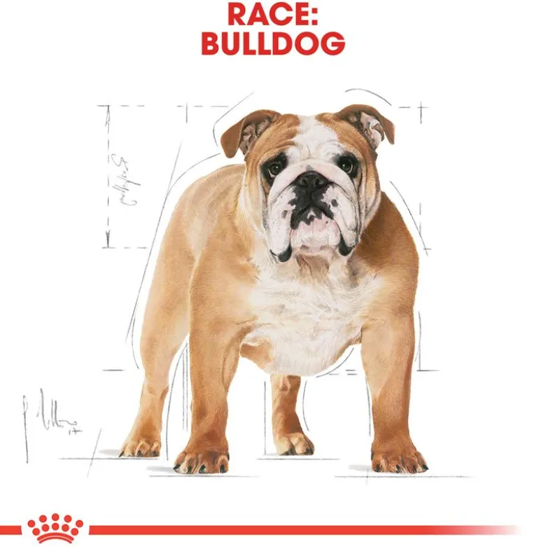 Royal Canin Bulldog Adult