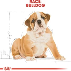 Royal Canin Bulldog Puppy