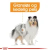 Royal Canin Care Nutrition CCN Coat Care