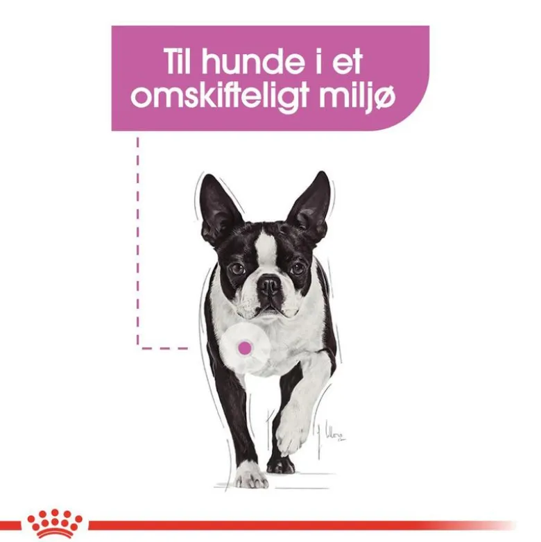 Royal Canin Care Nutrition CCN Relax