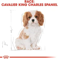 Royal Canin Cavalier King Charles Puppy
