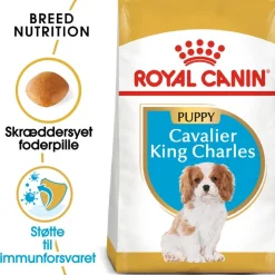 Royal Canin Cavalier King Charles Puppy