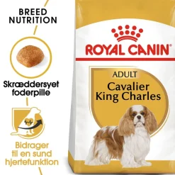 Royal Canin Cavalier King Charles Adult