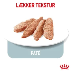 Royal Canin CCN Light Weight Care Mousse