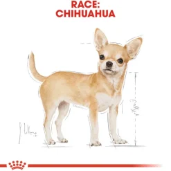 Royal Canin Chihuahua Adult