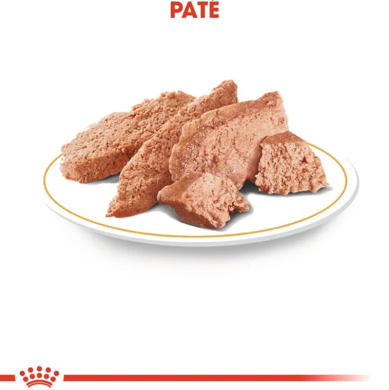 Royal Canin Chihuahua Mousse