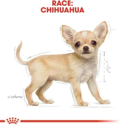 Royal Canin Chihuahua Puppy