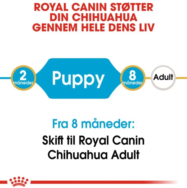 Royal Canin Chihuahua Puppy