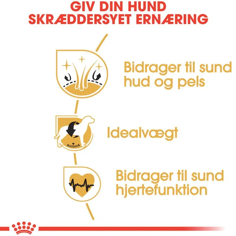 Royal Canin Cocker Adult