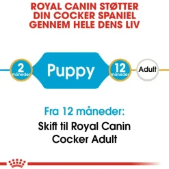 Royal Canin Cocker Puppy