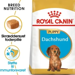 Royal Canin Dachshund Puppy