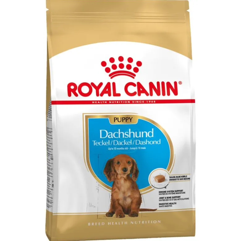 Royal Canin Dachshund Puppy