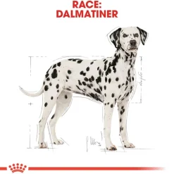 Royal Canin Dalmatian Adult