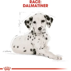 Royal Canin Dalmatian Puppy