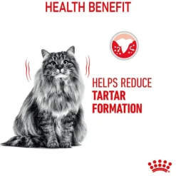 Royal Canin Dental Care