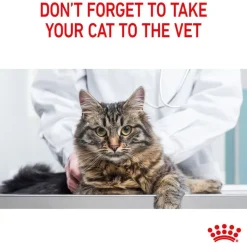 Royal Canin Dental Care