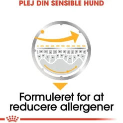 Royal Canin Dermacomfort Mousse
