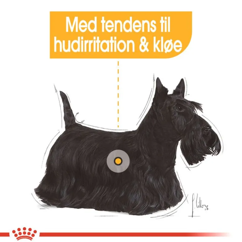 Royal Canin Dermacomfort Mousse
