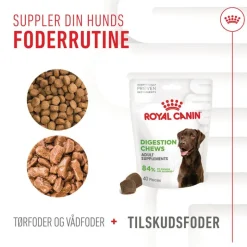 Royal Canin Digestion Adult Supplement tyggesnacks