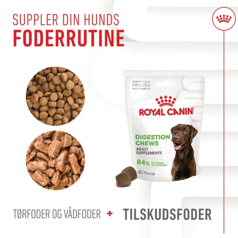 Royal Canin Digestion Adult Supplement tyggesnacks