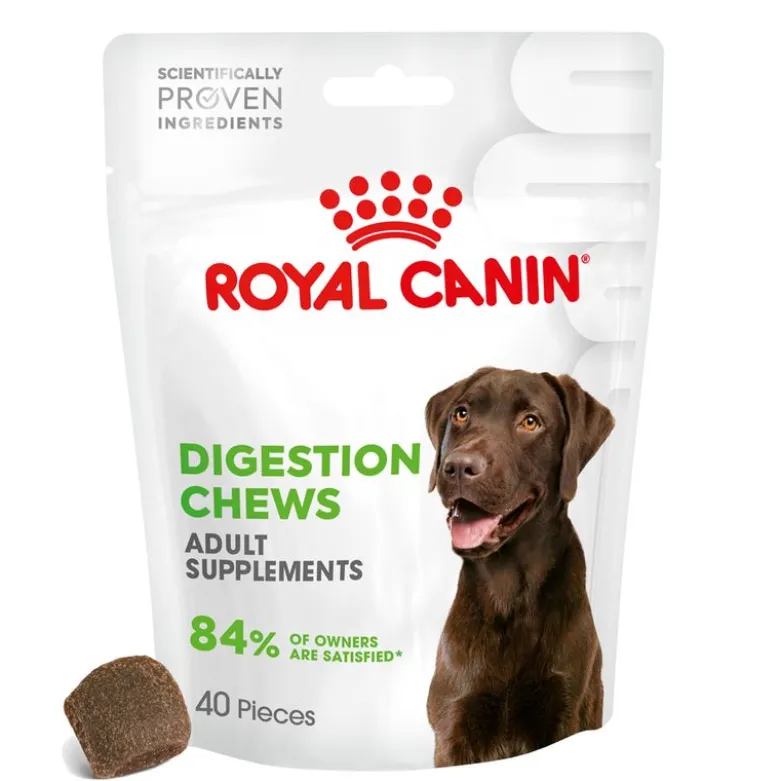 Royal Canin Digestion Adult Supplement tyggesnacks