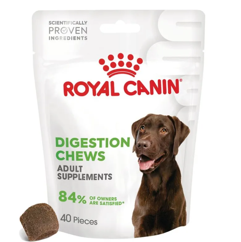 Royal Canin Digestion Adult Supplement tyggesnacks