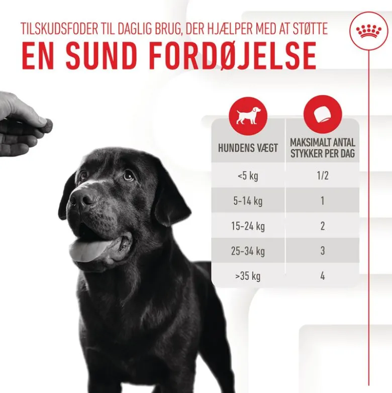 Royal Canin Digestion Adult Supplement tyggesnacks