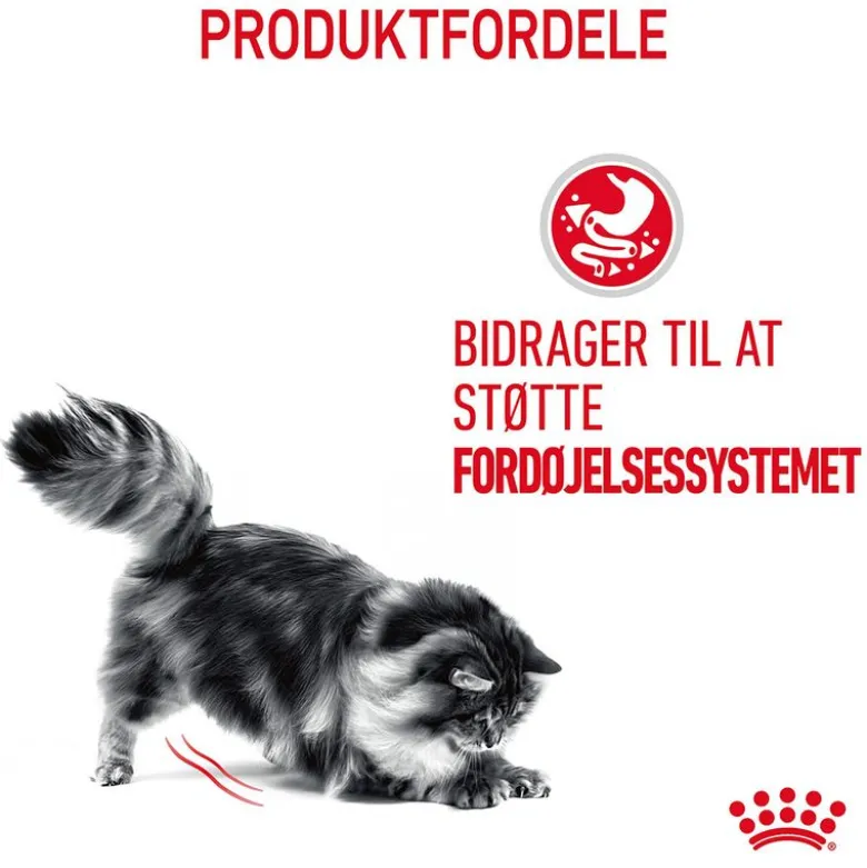 Royal Canin Digestive Care i sauce