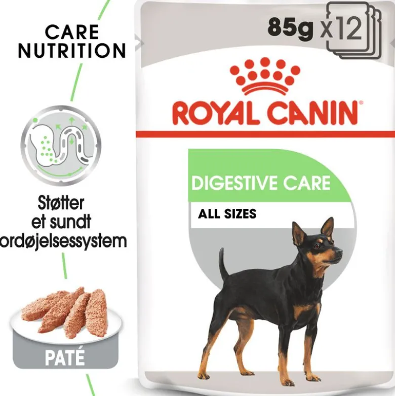 Royal Canin Digestive Care Mousse